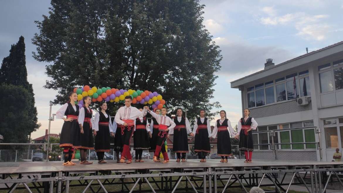 Дани Степојевца