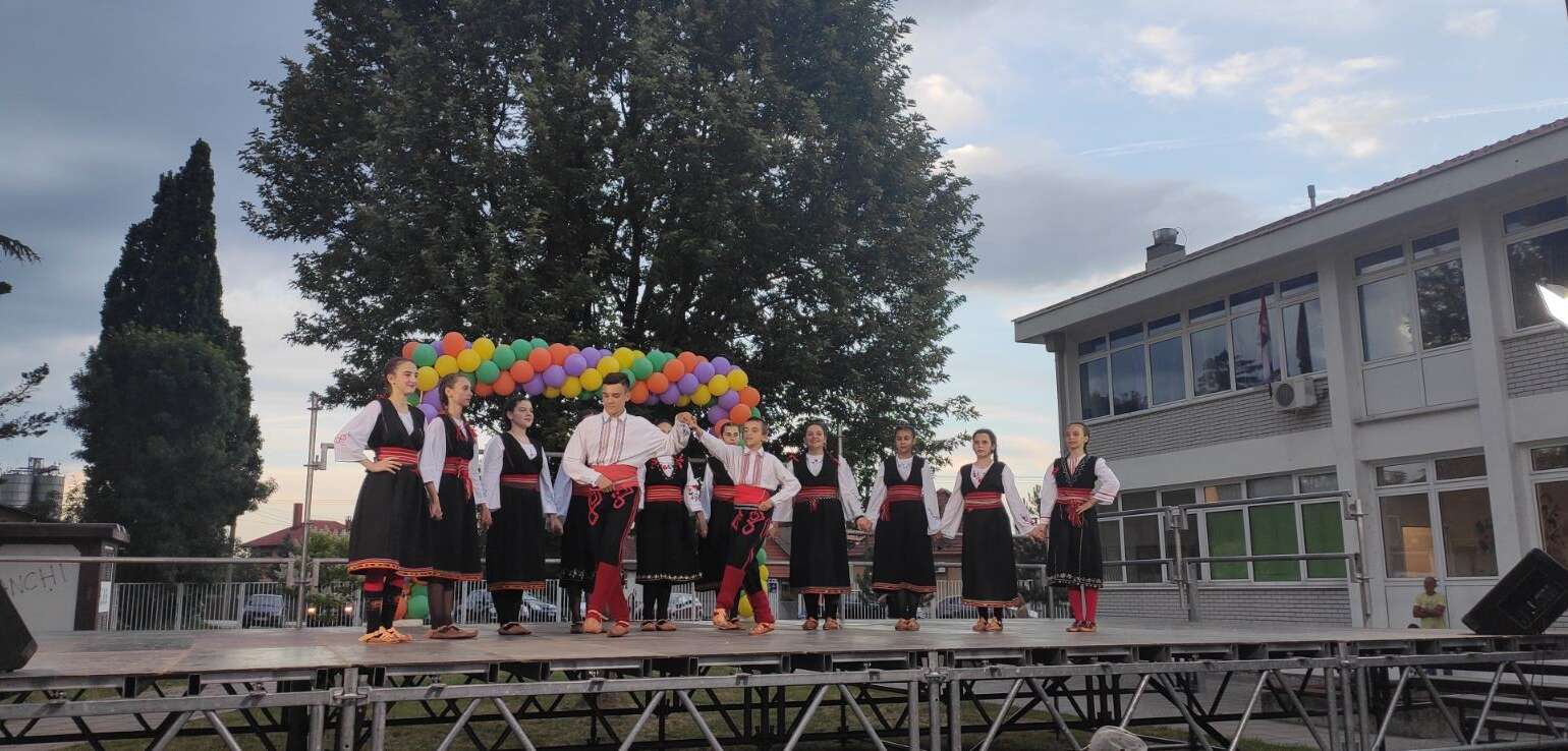 Дани Степојевца