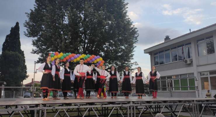 Дани Степојевца