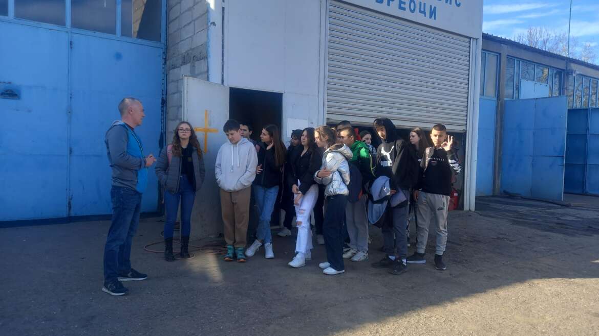 Професионална оријентација