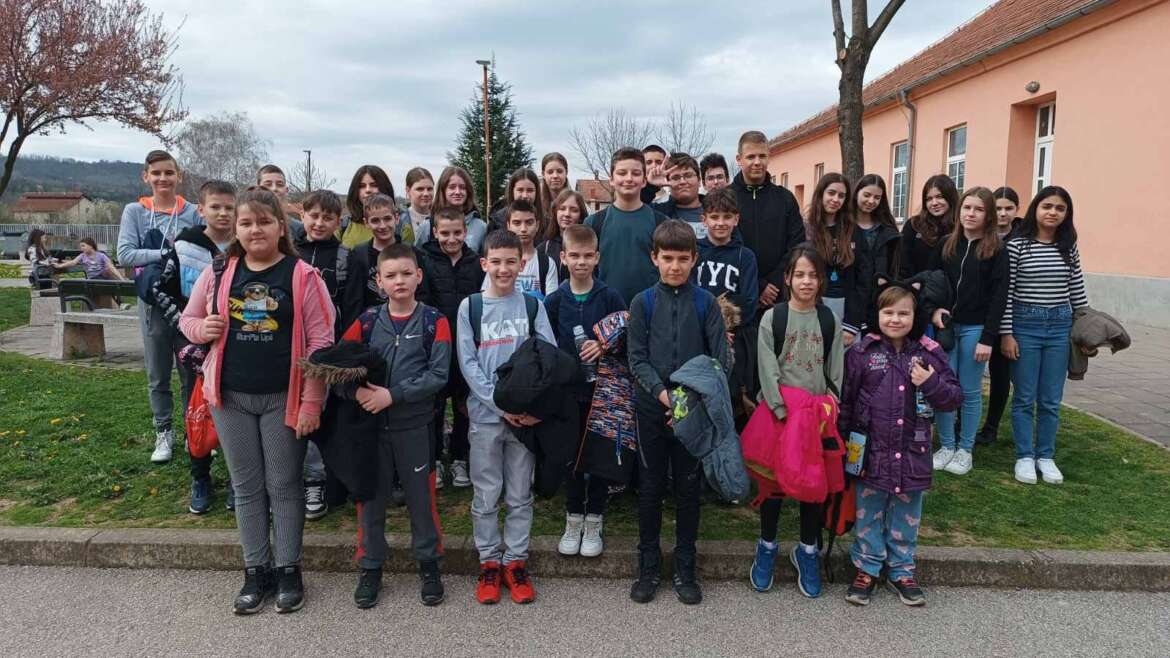 Hippo олимпијада