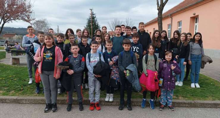 Hippo олимпијада