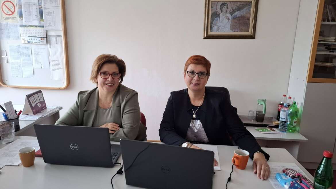 Вебинар „Социјално емоционално учење – основни концепти и искуства